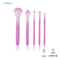 Colorful 5pcs Cosmetic Makeup Brush Set With pink Plastic Handle
