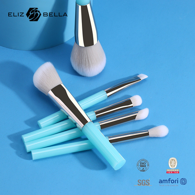 6pcs OEM 메이크업 눈 브러쉬 뷰티 케어, 잔인성 무료 합성 헤어 메이크업 브러쉬 키트
